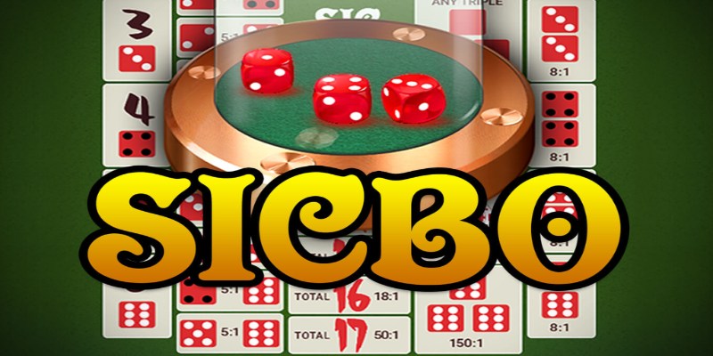 Tài Xỉu VIPWIN: Những Điều Cần Biết